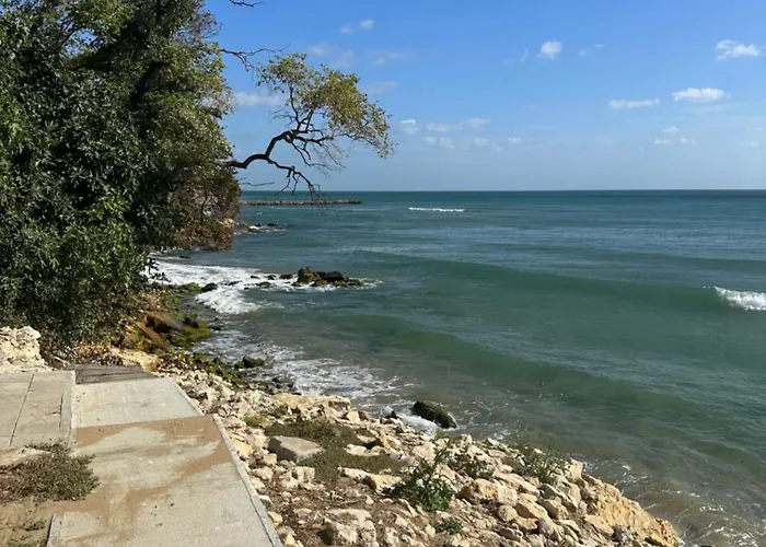 Alex Apartament Elenite