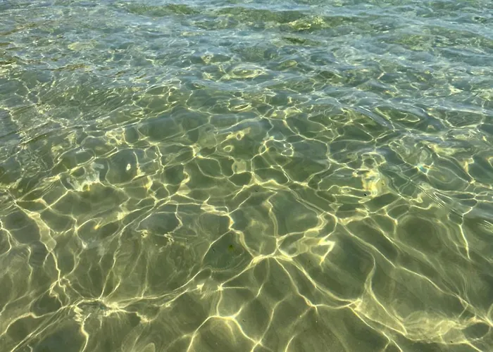 Alex Apartament Elenite