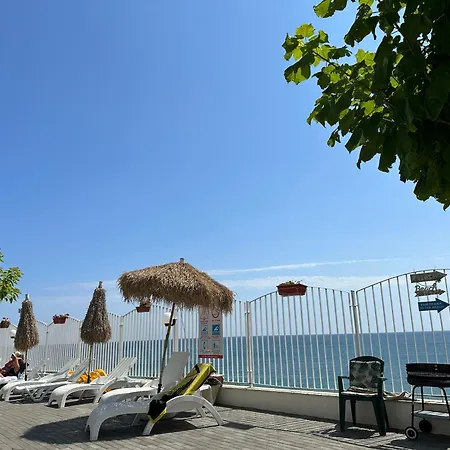 Alex Lejlighed Elenite