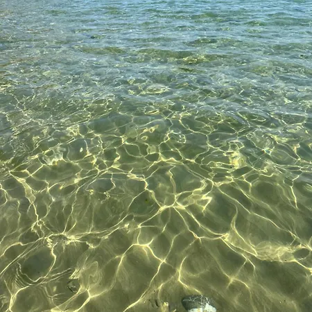 Alex Lejlighed Elenite